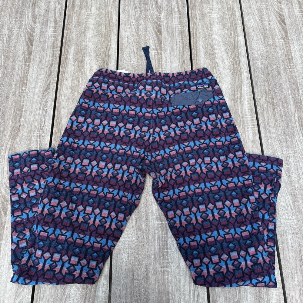 Patagonia micro D fleece pants
